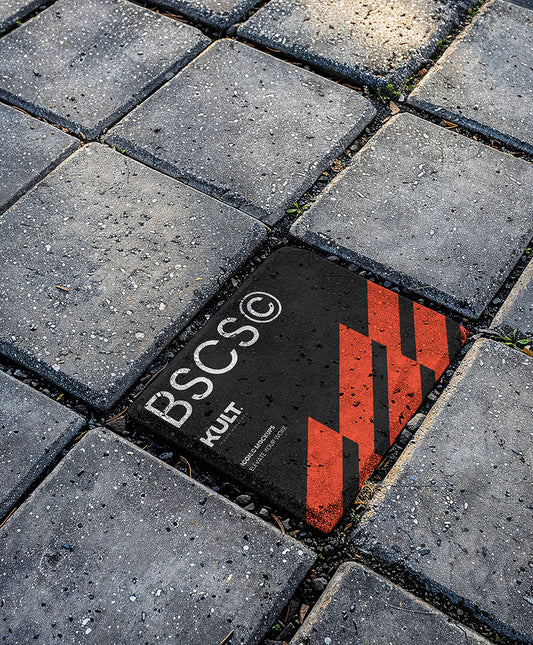 BSCS Tile 02